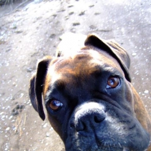 Close up