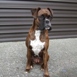 Sitting nicely for a photo
