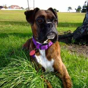 At the park