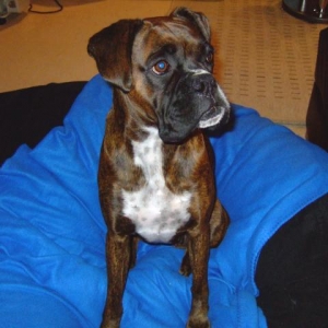 Treat please!