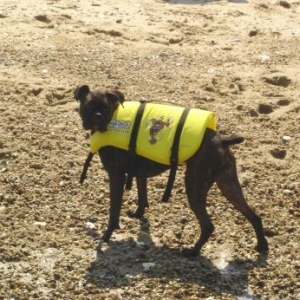 Ready for a swim