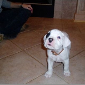 Baby Cody