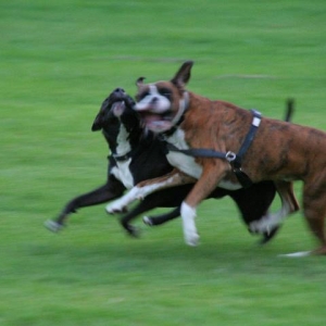 Collision!