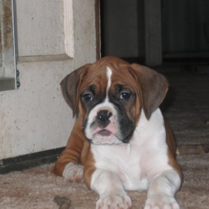 Roman1