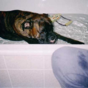 Love_my_bath