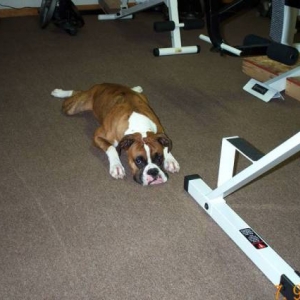 Atlas weight room