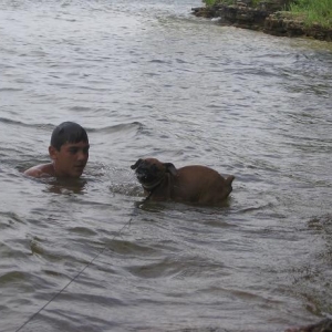 madiH2O