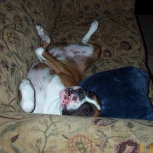 My boy snoozing!!
