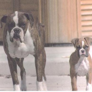 Cinch and his Dad
