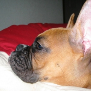 Tatie Profile