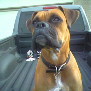 Tyson