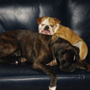 just the two of them