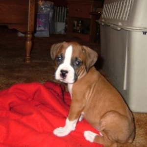 What a cutie!