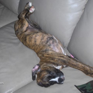 big stretch