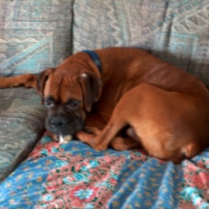 Just taking a nap