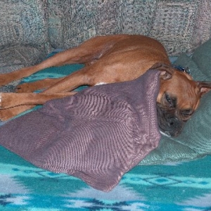 Oh so comfy