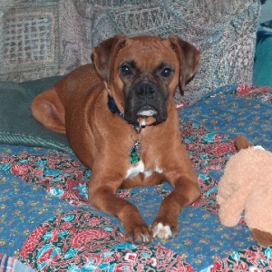 Dallas in "his spot"