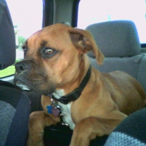 Raevyn @ 6 mos old