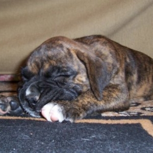 Sleeping