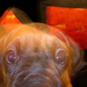 Peepers!