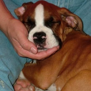Tired little guy!