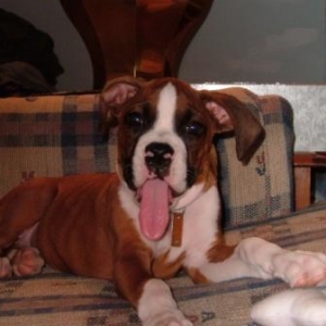 What a tongue