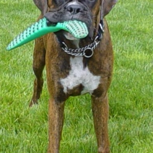 Lets Play!