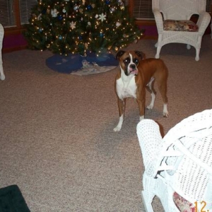 Ok, where did all the presents go?
