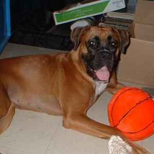 look at that smile!