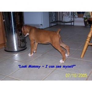 I'm Hungry