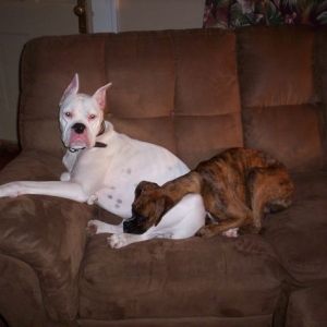 her comfortable spot