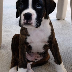 Our new baby boy!!!