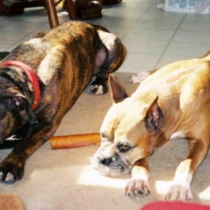 My, what big feet you have