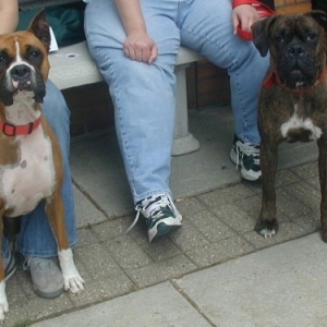 Look at all the people