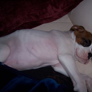 Nap time