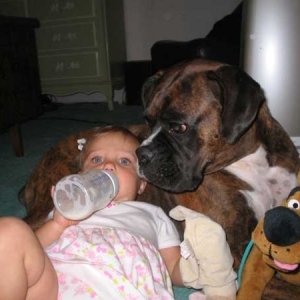 Another of Morgan and Duke!