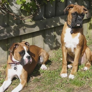 Sittin' in the sun