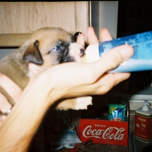 Feeding Time