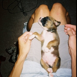 Puppy Nap