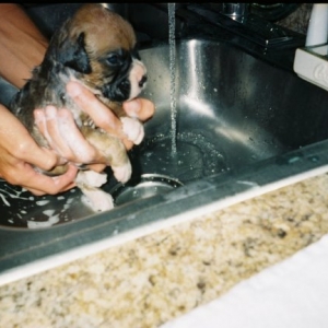 Syxx's first bath