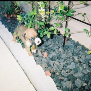 Snooping around