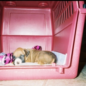 Crate Time
