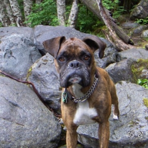 Hiking at the Lake