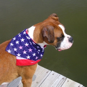 Keegan's 4th of July