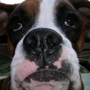 ain't i cute!