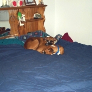 caught in the act