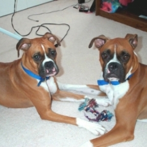 Max and Sissy