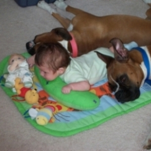 skin and fur babies
