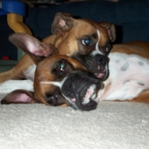 Best of friends