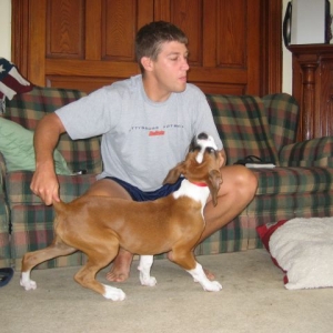 Not a showdog